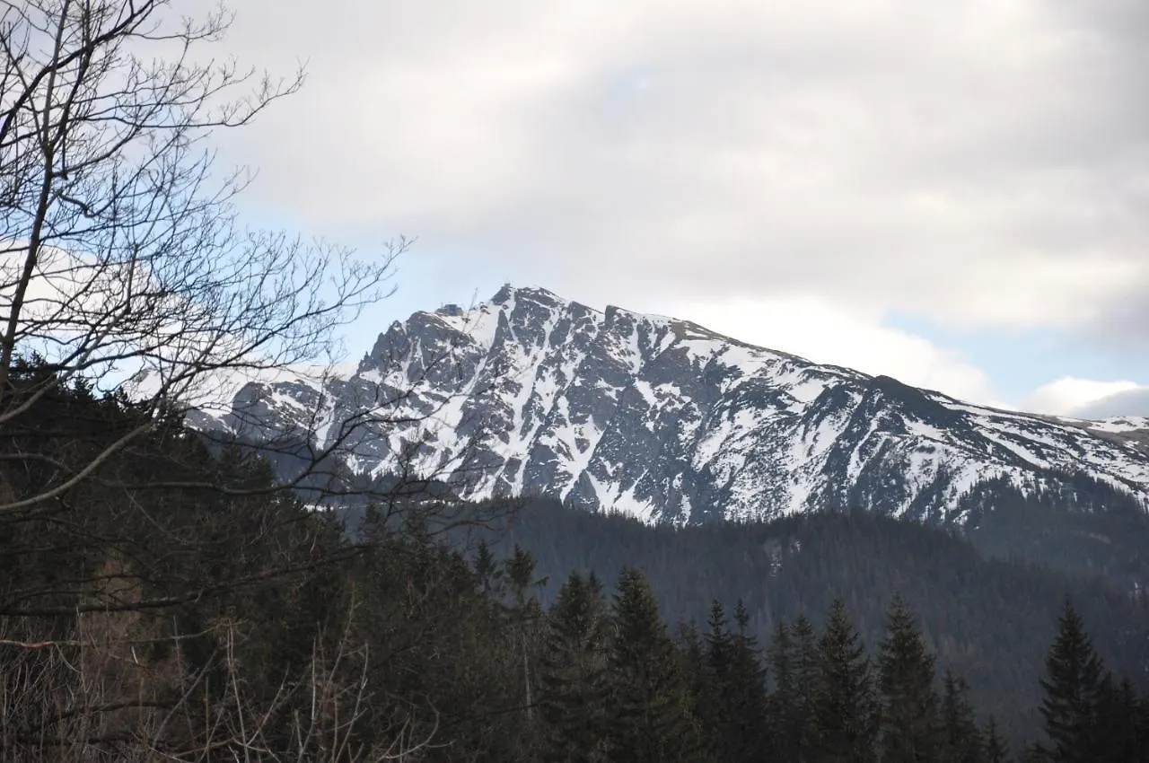 Willa Bystry, Pod Nosalem Zakopane